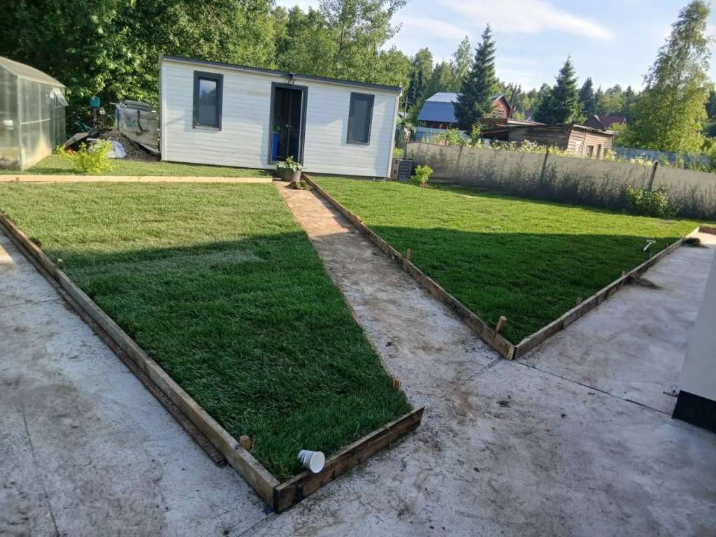Укладка газона СНТ "Дружба"
