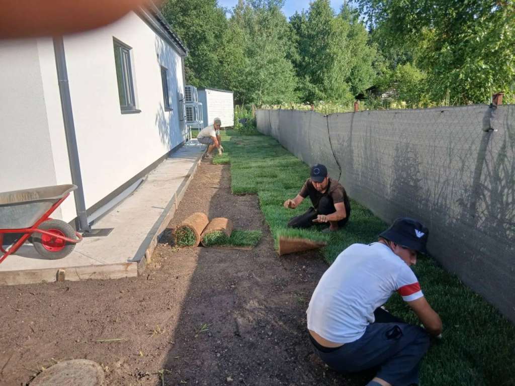 Укладка газона СНТ "Дружба"