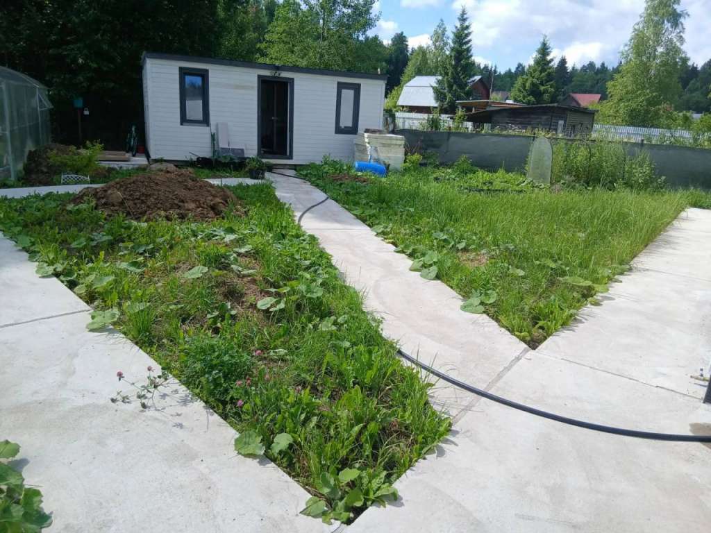 Укладка газона СНТ "Дружба"